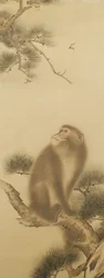 Singe regardant une libellule
